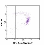 KG1a (human myeloid leukemia cell line) stained with TX31 PE