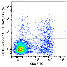 11-5-CRTAM_PECy7_CD355_Antibody_1_101917