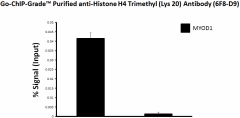 1_6F8-D9_GoChIP_HistoneH4_Trimethyl_Lys20_Antibody_1_ChIP_050718