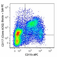 ACK2_Biotin_CD117_ckit_Antibody_1_123015