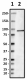 CPTC-Gelsolin-2_PURE_Gelsolin_Antibody_2_062719.png