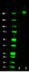 3_CTD4H8_GoChIP_RNA_PolymeraseII_Antibody_WB_071717