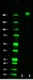 CTD4H8_Purified_RNA_Polymerase_Antibody_3_WB_012218