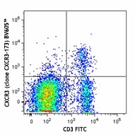 CXCR3-173_BV605_CXCR3_Antibody_FC_1_051413