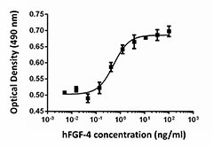 FGF-4_Human_Recombinant_Protein_BA_112613