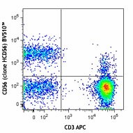 HCD56_BV510_CD56_Antibody_FC_082512