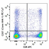 HNK-1_PECy7_CD57_Antibody_1_100516