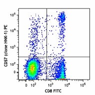 HNK-1_PE_CD57_Antibody_FC_1_111313.jpg