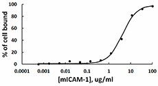 ICAM_Mouse_Recombinant_Protein_BA_062514.jpg