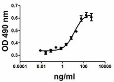IGF-II_Mouse_Recombinant_Protein_BA_070113