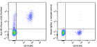 L243_Purified_HLA-DR_Antibody_012519_updated.png