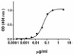 Mesothelin_Mouse_Recombinant_Protein_BA_042015