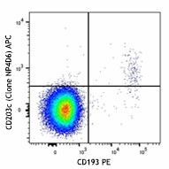 NP4D6_APC_CD203c(E-NPP3)_Antibody_1_100516