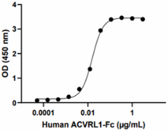Recom_Human-ACVRL1-Fc-Chimera_1_CF