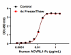 Recom_Human-ACVRL1-Fc-Chimera_2_CF