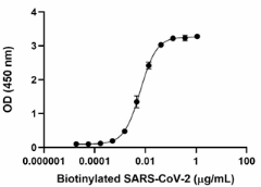 SARS-CoV-2-B117-_Spike-Protein-S1-_RECOM_BA_1_042123