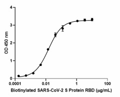 SARS-CoV-2_S_Protein_RBD_CF_BIOTIN-RECOM_1_081820