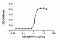 a-SLAMF6_Mouse_Recombinant_Protein_BA_1_120221