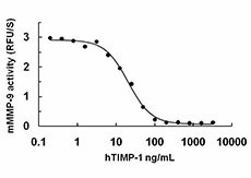 TIMP1_Human_Recombinant_Protein_BA_122013