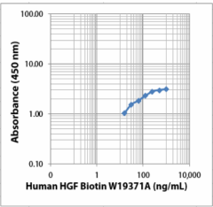 W19371A_BIOTIN_-HGF_Antibody_050323