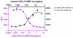 W15149B_ULEAF_CXCL12_SDF-1beta_Antibody_c_062121.png