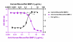 W20092C_ULEAF_BMP2_Antibody_updated_101222