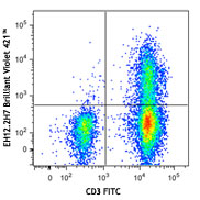 PE/Cyanine7 anti-human CD160 Antibody anti-CD160 - BY55